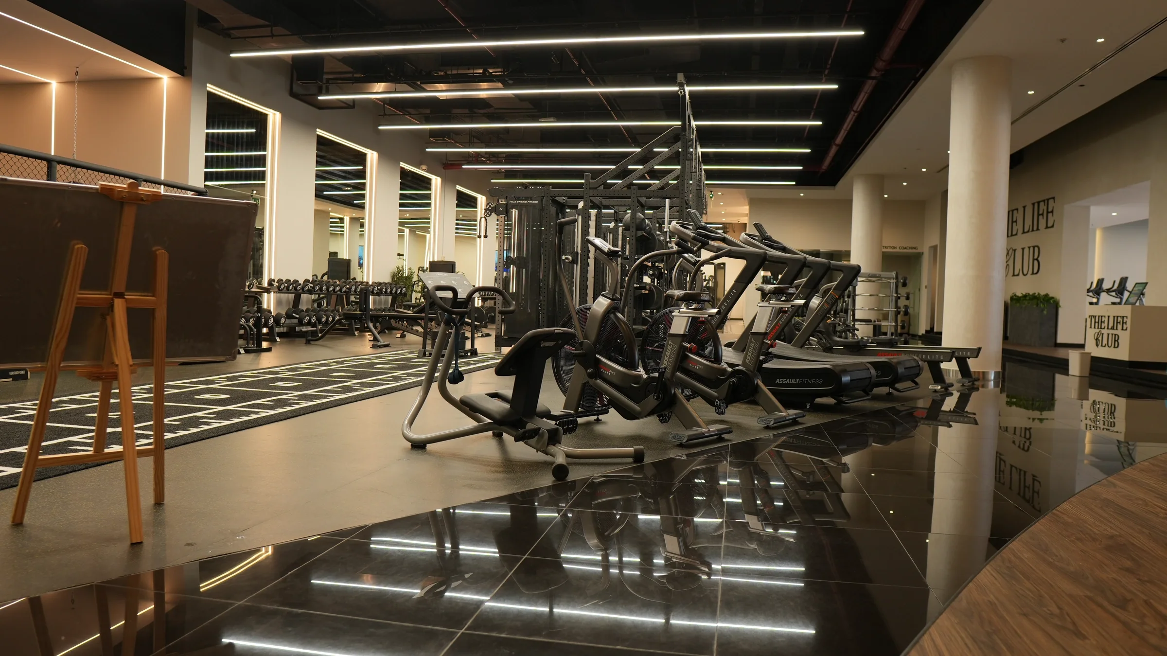 A wide view across the cardio and functional training areas