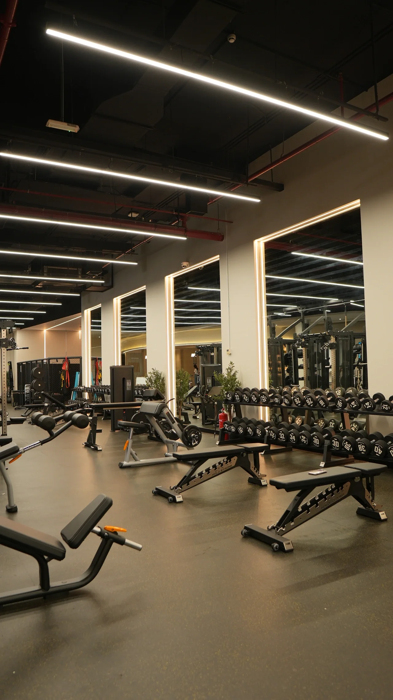 A closer look along the dumbbell benches