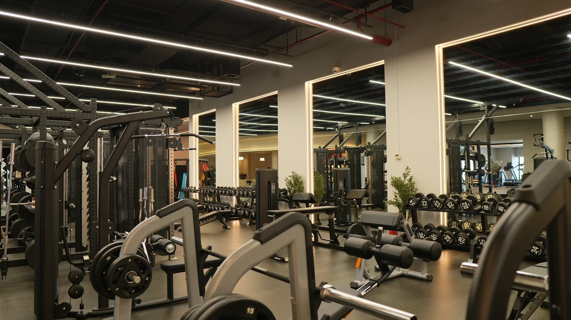 Free weights and benches alongside the mirrored wall