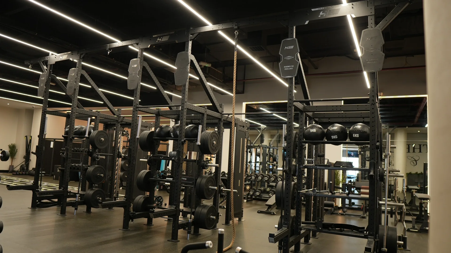 Racks and strength equipment beneath the linear ceiling lights