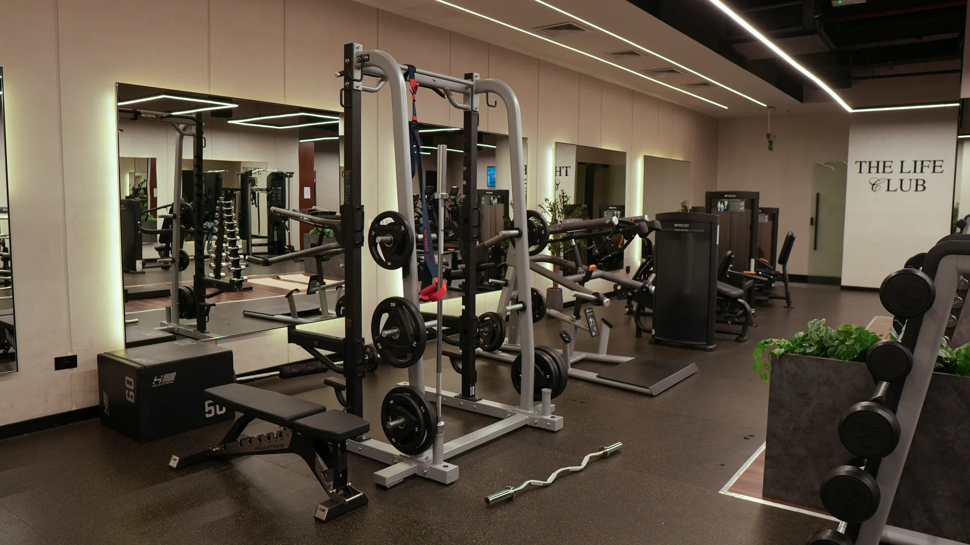 Free weights and benches in the women-only gym
